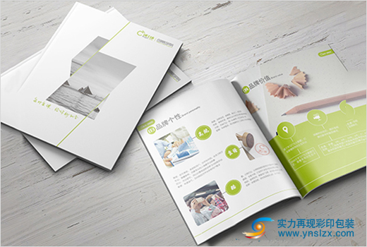 云南企業(yè)畫冊印刷廠家
